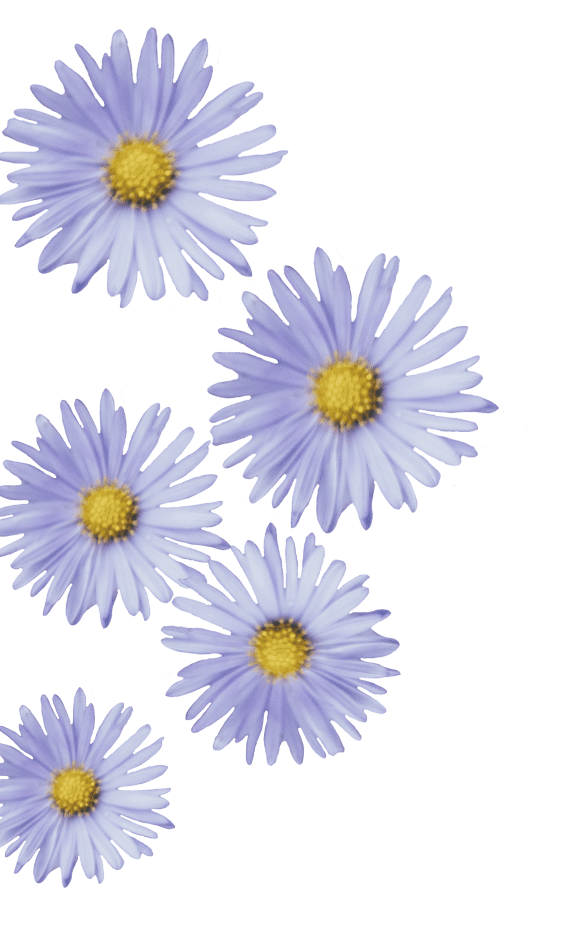 Background flower image